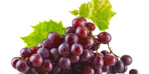 Resveratrol